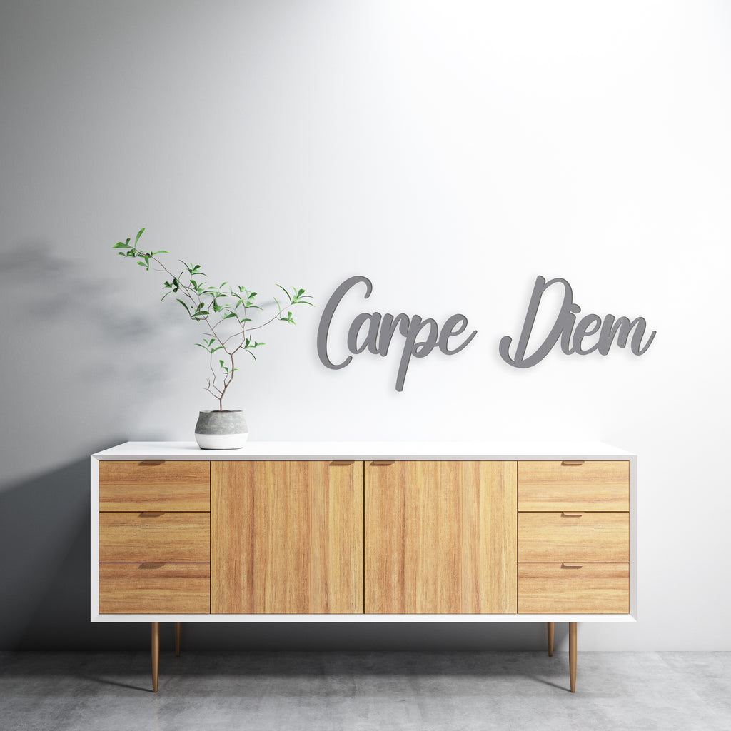 Carpe Diem wood or acrylic 3d sign